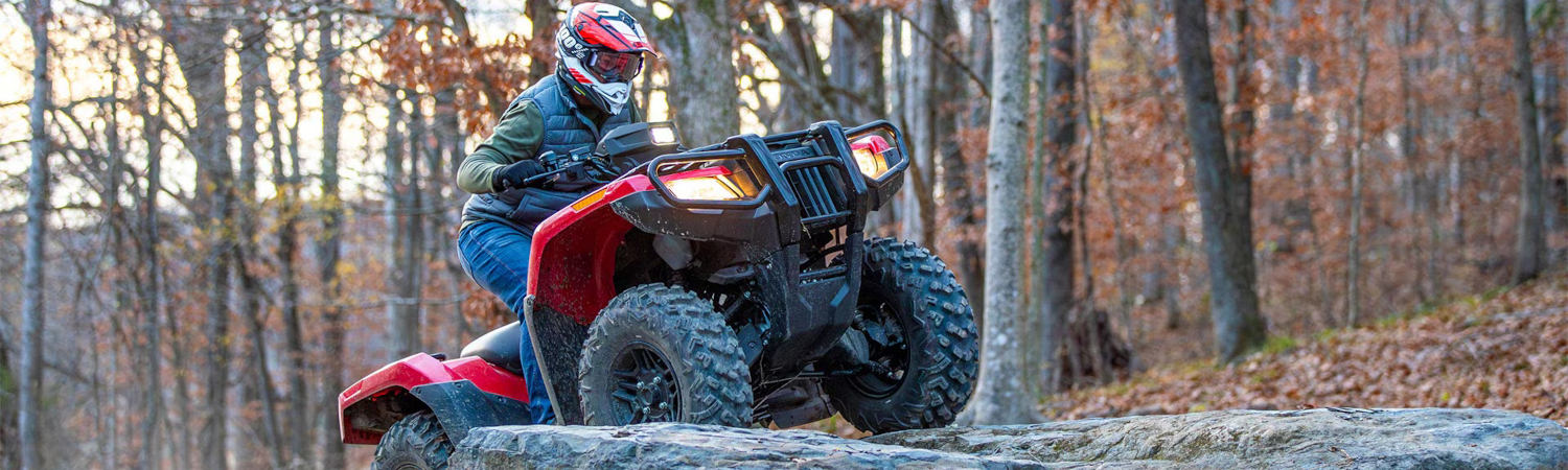 2024 Honda® Fourtrax Rubicon 4x4 ATVs for sale in Team Mancuso, Houston, Texas